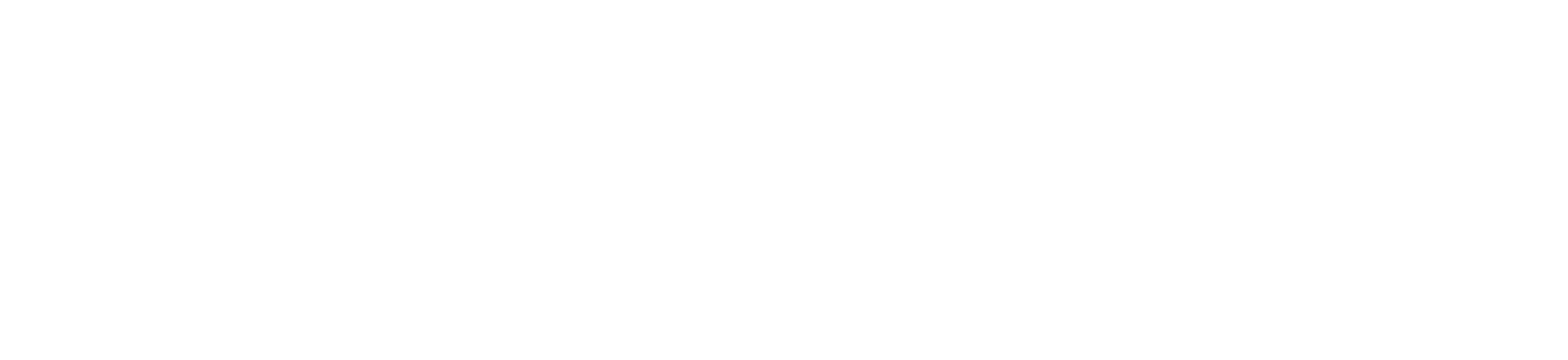 Panelsan